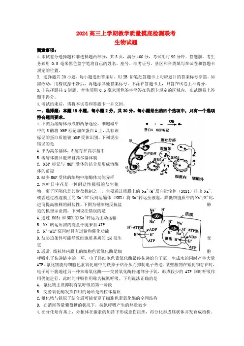 山东省淄博2024高三生物上学期12月摸底联考试题