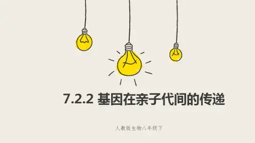 人教版生物八年级下册基因在亲子代间的传递 课件