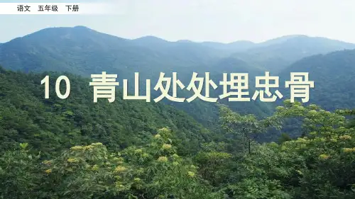 【部编版】《青山处处埋忠骨》PPT课件五年级下册第10课
