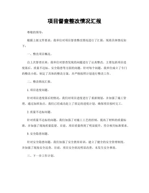 项目督查整改情况汇报