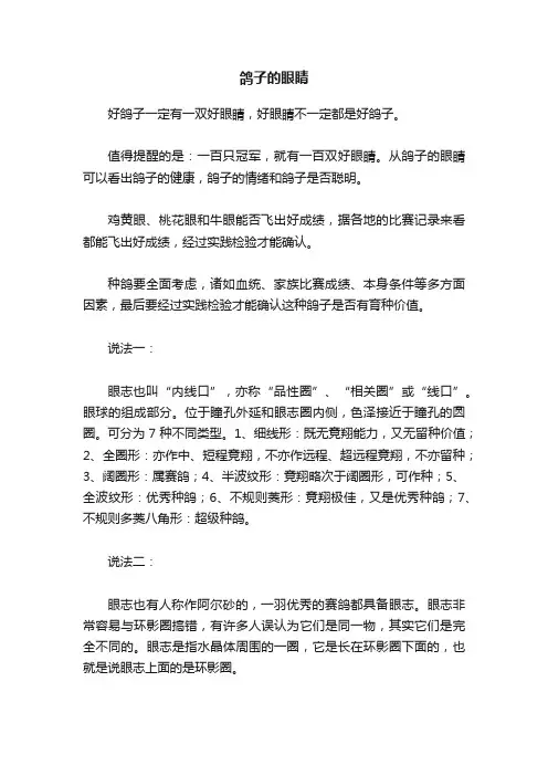 鸽子的眼睛