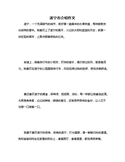 遂宁市介绍作文