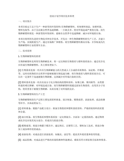 创业计划书项目技术原理