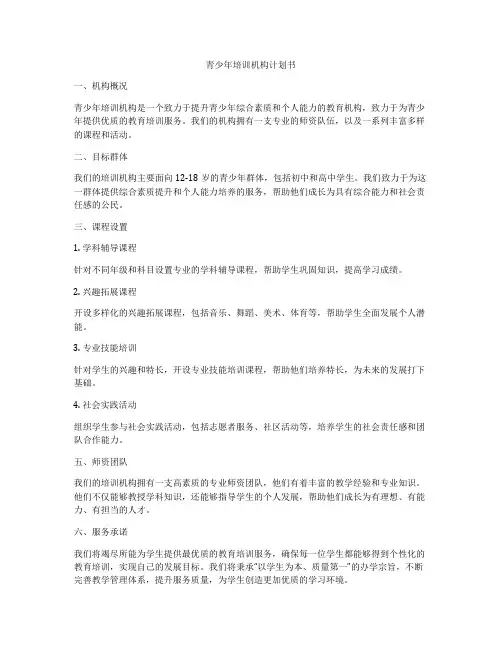 青少年培训机构计划书