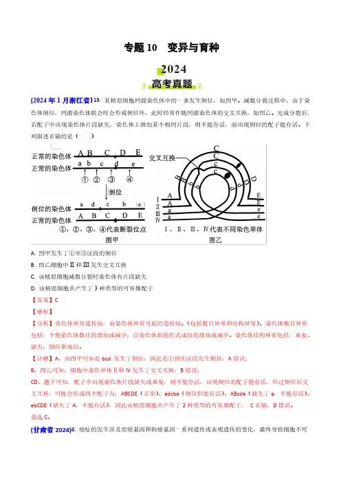 专题10 变异与育种-2024年高考真题和模拟题生物分类汇编(教师卷)