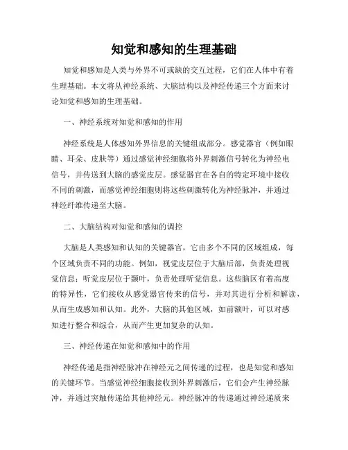 知觉和感知的生理基础