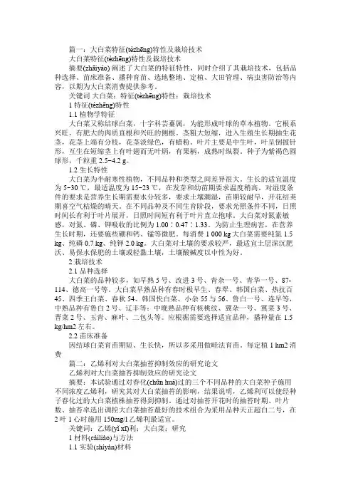 大白菜,论文免费范文