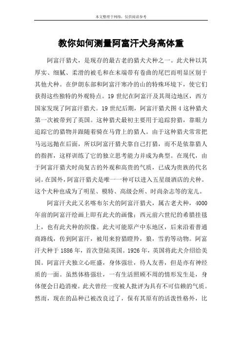 教你如何测量阿富汗犬身高体重