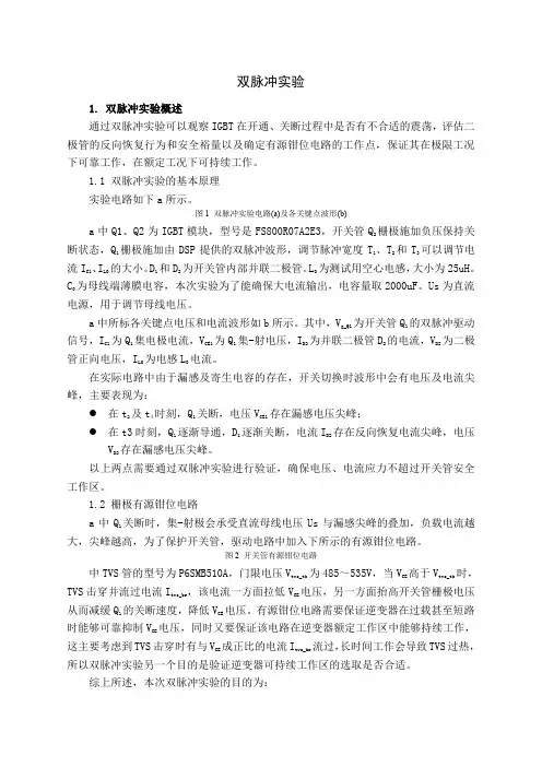 双脉冲实验报告