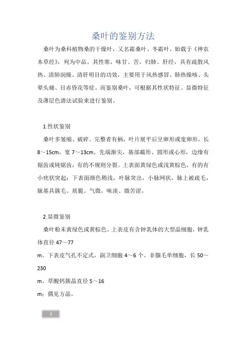 中药知识-桑叶的鉴别方法