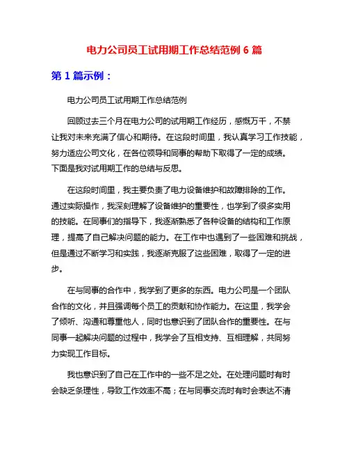 电力公司员工试用期工作总结范例6篇