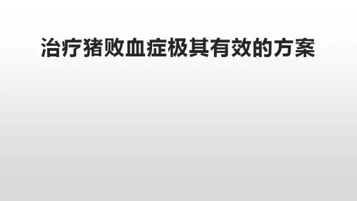 治疗猪败血症极其有效的方案