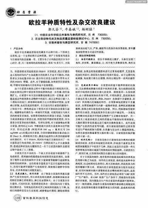 欧拉羊种质特性及杂交改良建议