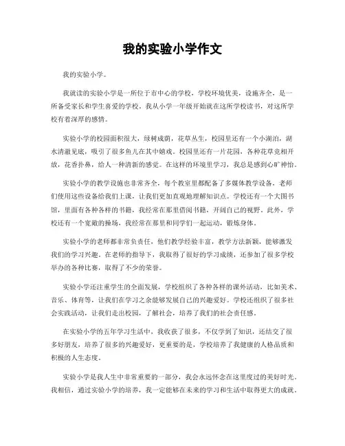 我的实验小学作文