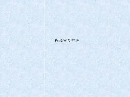 产程观察及护理