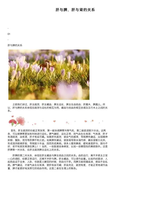 肝与脾，肝与肾的关系