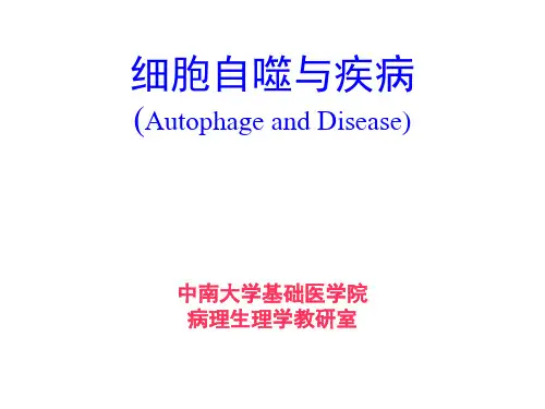 细胞自噬与疾病