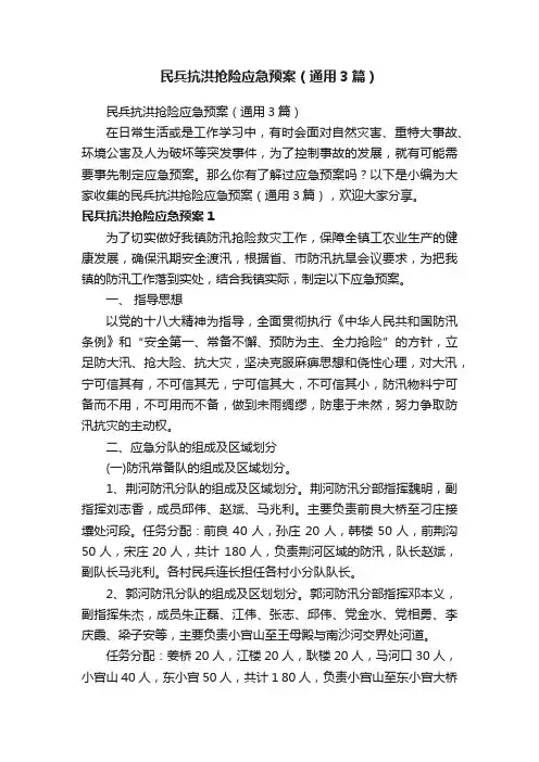 民兵抗洪抢险应急预案（通用3篇）