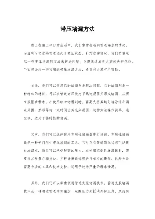 带压堵漏方法