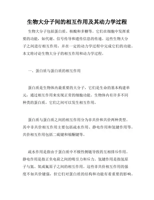 生物大分子间的相互作用及其动力学过程