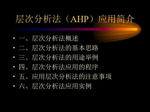 财务层次分析法(AHP)应用(PPT 13页)
