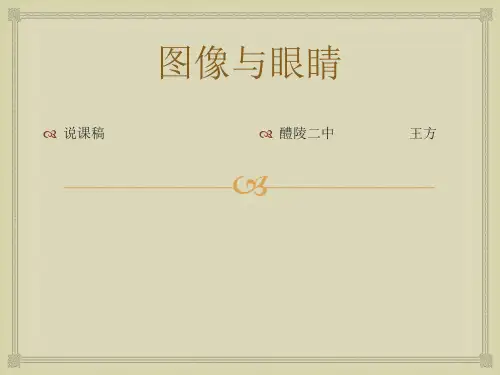 图像与眼睛 说课稿  王方.