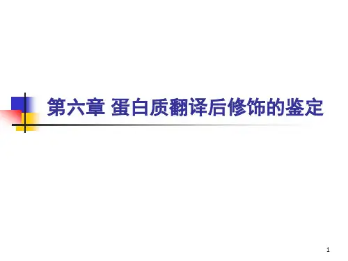 蛋白质翻译后修饰的鉴定ppt课件