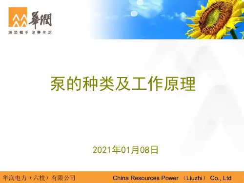 泵工作原理介绍PPT课件