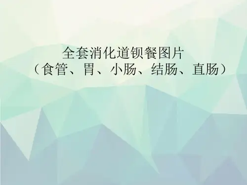 全套消化道钡餐图片