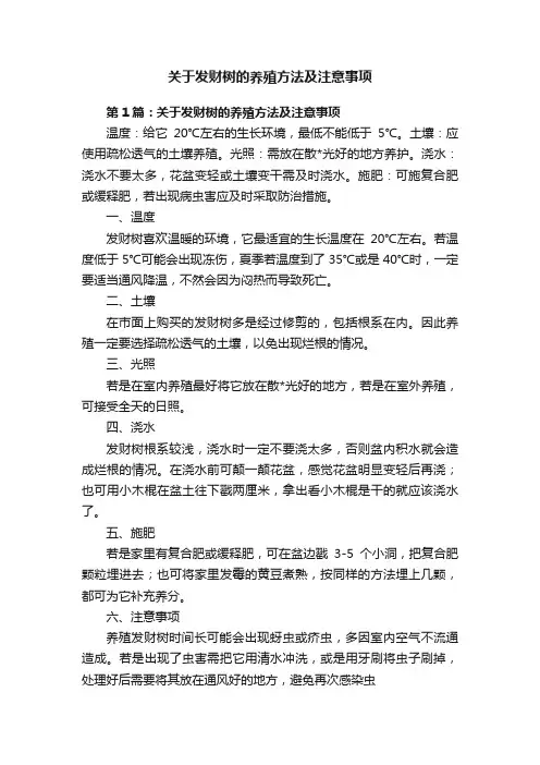 关于发财树的养殖方法及注意事项