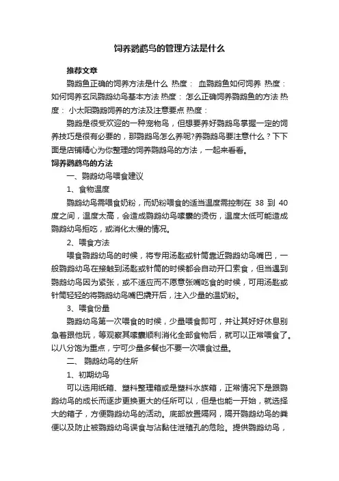 饲养鹦鹉鸟的管理方法是什么