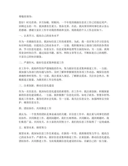 镇级信息员个人工作总结