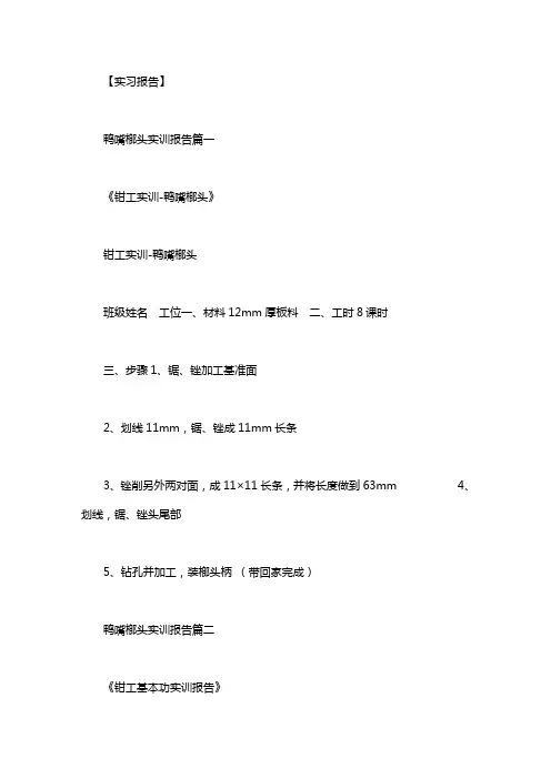 鸭嘴榔头实训报告