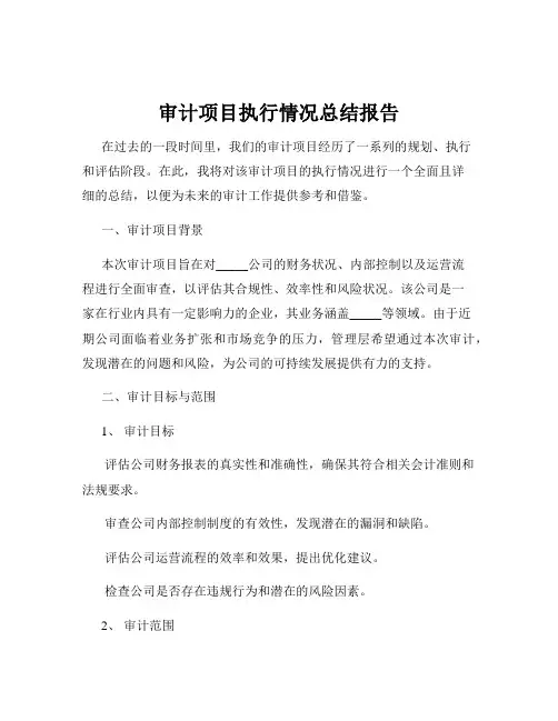 审计项目执行情况总结报告