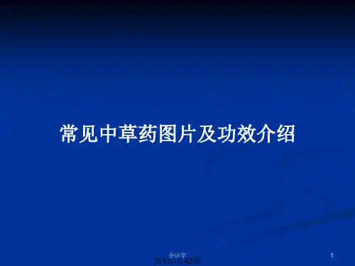 常见中草药图片及功效介绍PPT教案