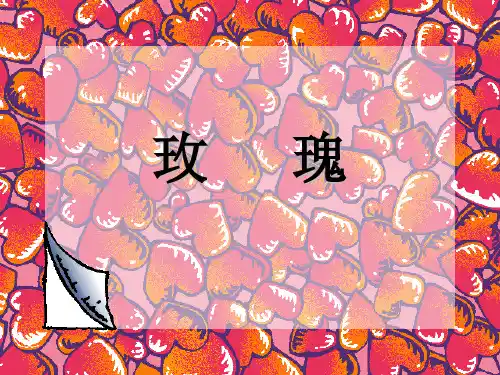 玫瑰花 PPt