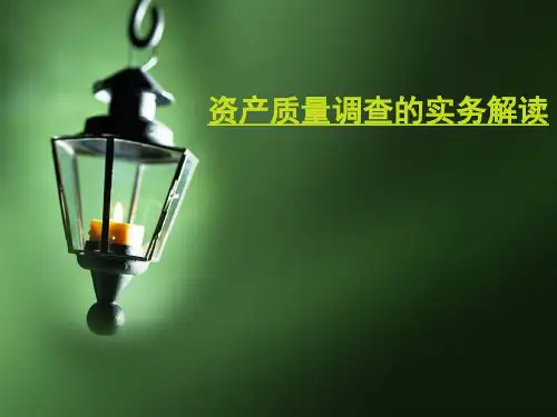 企业资产质量状况分析PPT课件