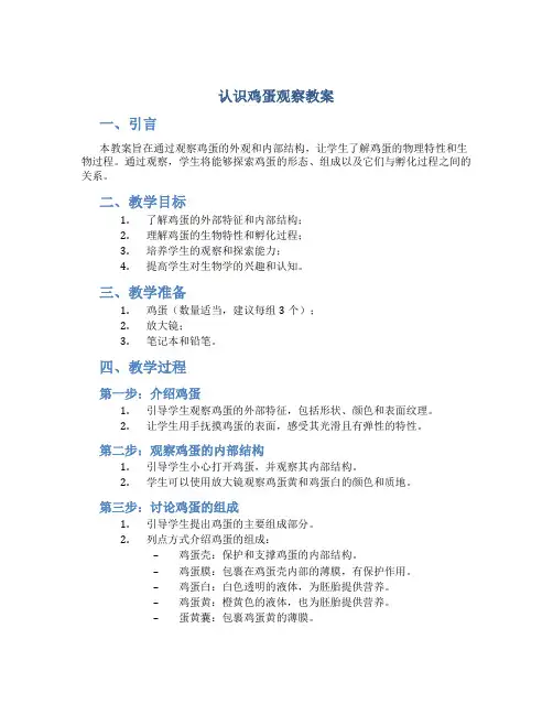 认识鸡蛋观察教案