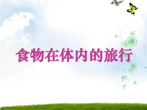 部编版四年级上册科学课件-食物在体内的旅行 教科版ppt上课用