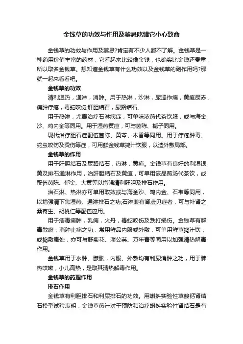 金钱草的功效与作用及禁忌吃错它小心致命