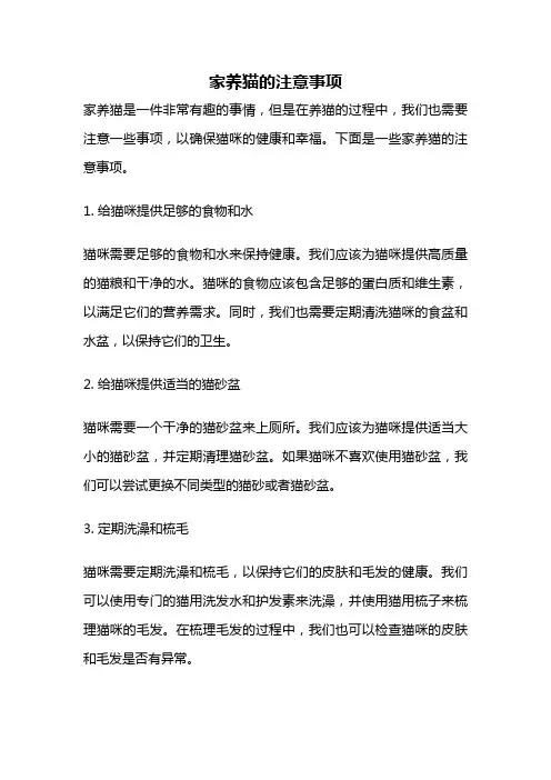 家养猫的注意事项