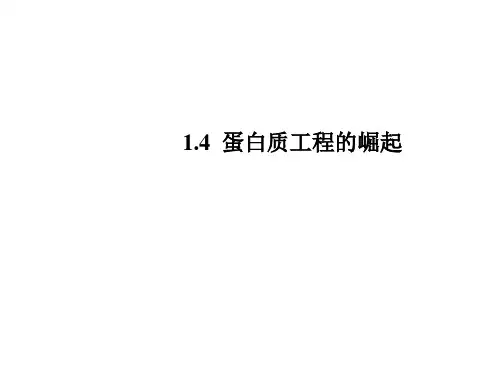 蛋白质工程的崛起(教学课件)-高中生物人教版选修3