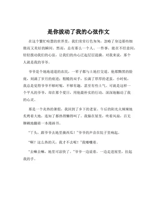 是你拔动了我的心弦作文