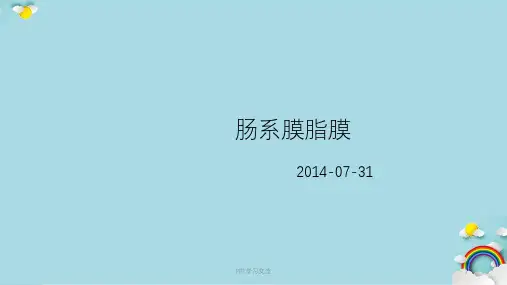 肠系膜脂膜炎最新课件