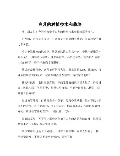 白芨的种植技术和栽培
