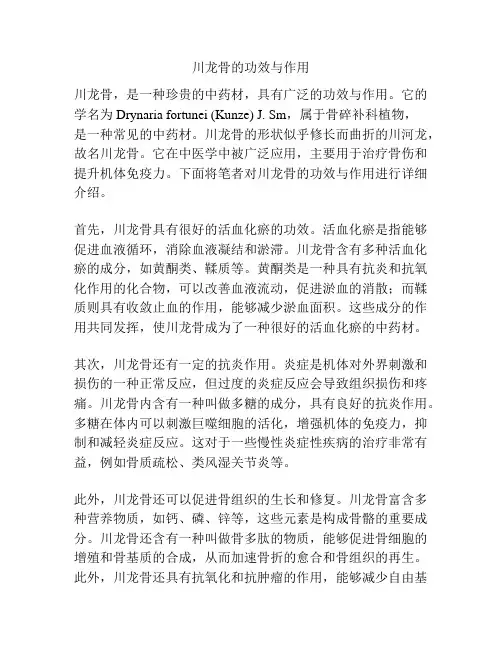 川龙骨的功效与作用