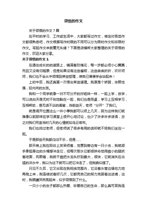 领悟的作文