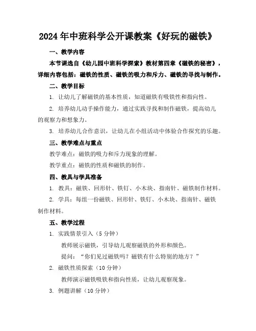 2024年中班科学公开课教案《好玩的磁铁》