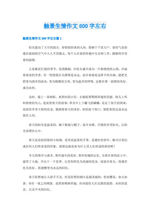 触景生情作文600字左右