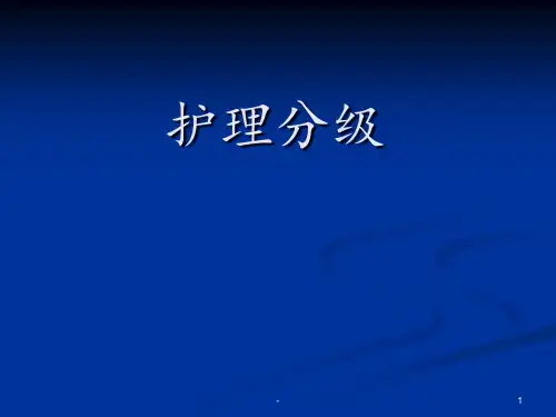护理分级PPT课件